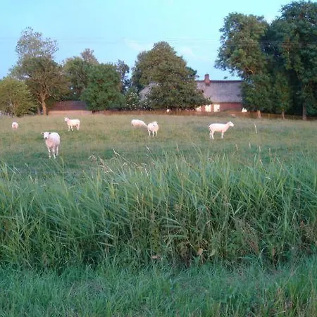 Ferien-unter-dem-reetdach *